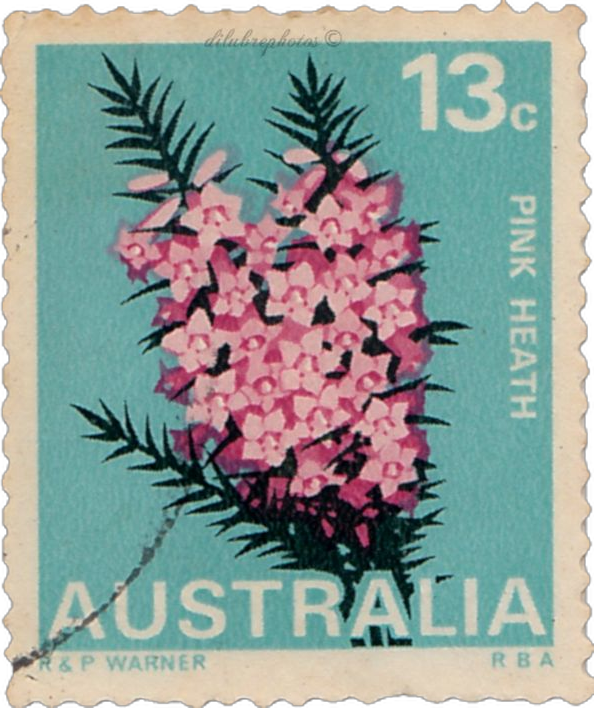 Stamp 7